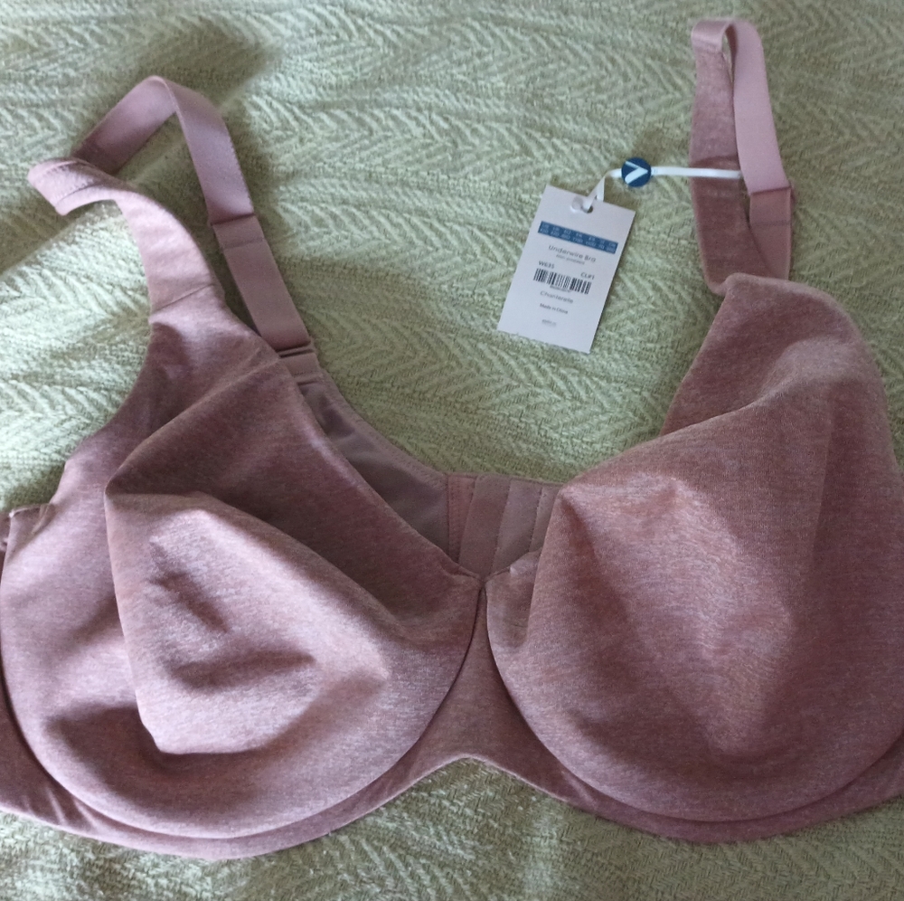Aisilin Chantelle Soft Beige Bra 42D